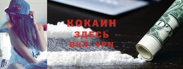 ГАЛЛЮЦИНОГЕННЫЕ ГРИБЫ Вяземский