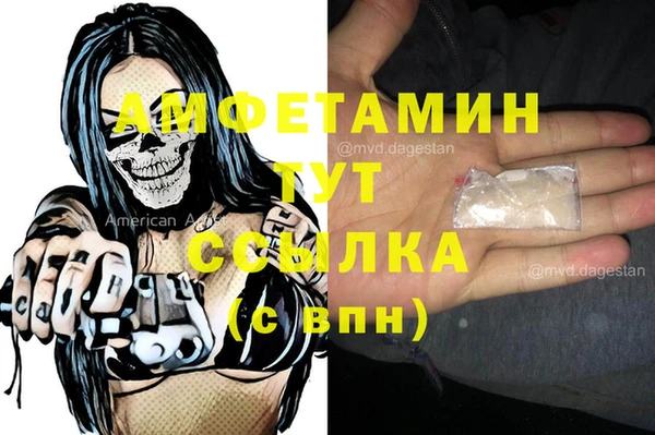 ГАЛЛЮЦИНОГЕННЫЕ ГРИБЫ Вяземский