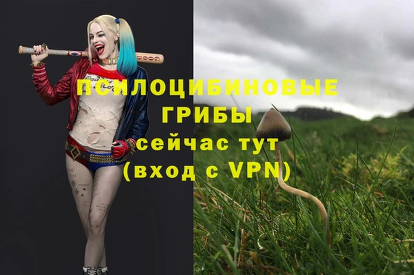 ГАЛЛЮЦИНОГЕННЫЕ ГРИБЫ Вяземский
