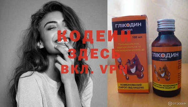 ГАЛЛЮЦИНОГЕННЫЕ ГРИБЫ Вяземский