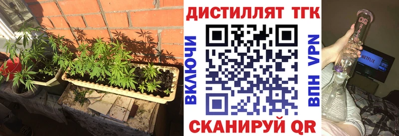 Купить закладки  Моршанск  Дистиллят ТГК вейп 