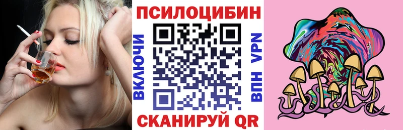 Купить закладки  Моршанск  Псилоцибиновые грибы мицелий 